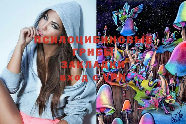 ешки Арсеньев