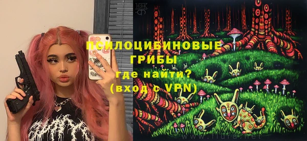 тгк Аркадак