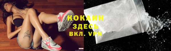 ешки Арсеньев