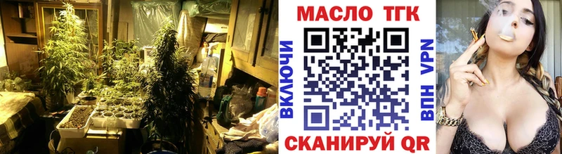 дарнет шоп  kraken ССЫЛКА  ТГК концентрат  Судак 