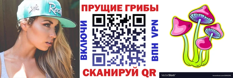 KRAKEN как войти  Судак  Галлюциногенные грибы Psilocybe 