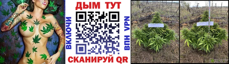 МАРИХУАНА SATIVA & INDICA  что такое наркотик  Судак 